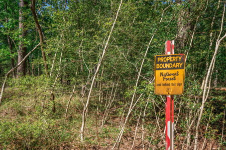 Hunting and Fishing Acreage near Sam Rayburn Reservoir - image 29