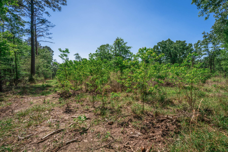 Hunting and Fishing Acreage near Sam Rayburn Reservoir - image 16