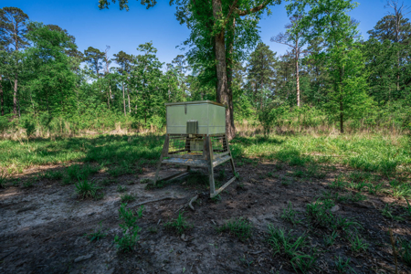 Hunting and Fishing Acreage near Sam Rayburn Reservoir - image 22