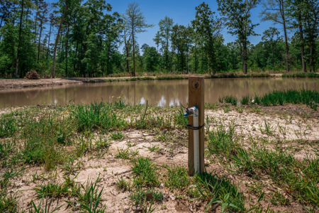 Hunting and Fishing Acreage near Sam Rayburn Reservoir - image 35