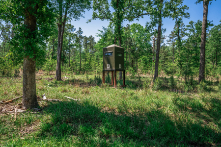 Hunting and Fishing Acreage near Sam Rayburn Reservoir - image 23