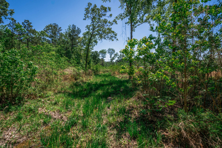Hunting and Fishing Acreage near Sam Rayburn Reservoir - image 34