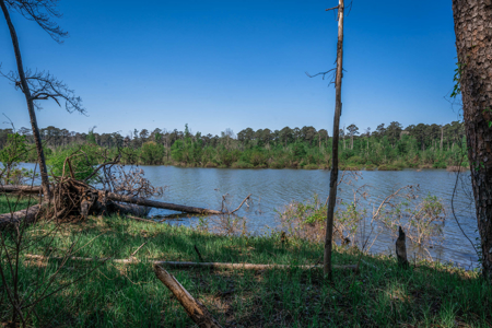 Hunting and Fishing Acreage near Sam Rayburn Reservoir - image 15