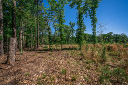 Hunting and Fishing Acreage near Sam Rayburn Reservoir - image 33
