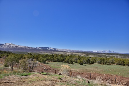 Home, Shop, Acreage with Ponds in 2 Parcels For Sale - image 13