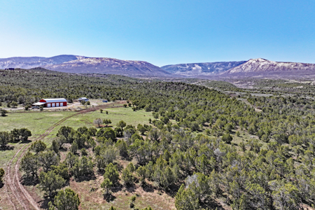 Home, Shop, Acreage with Ponds in 2 Parcels For Sale - image 26