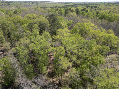 403+ Acre Hunting Paradise in Upshur County, TX - image 21
