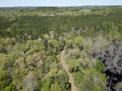 403+ Acre Hunting Paradise in Upshur County, TX - image 22