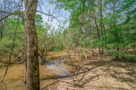 403+ Acre Hunting Paradise in Upshur County, TX - image 1