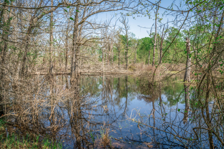 403+ Acre Hunting Paradise in Upshur County, TX - image 28
