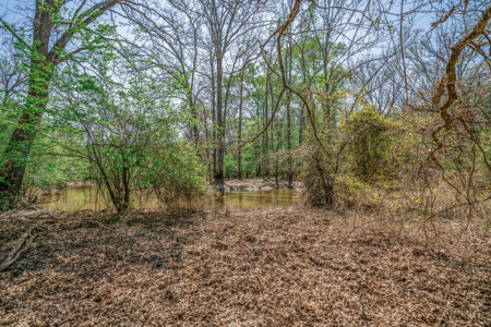 403+ Acre Hunting Paradise in Upshur County, TX - image 3
