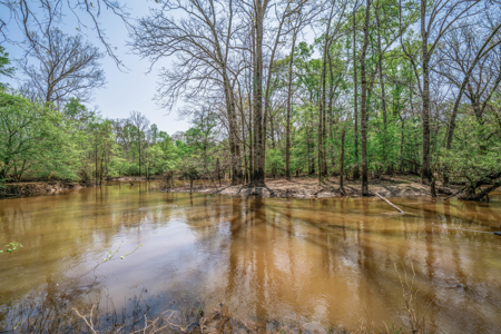403+ Acre Hunting Paradise in Upshur County, TX - image 4