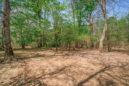 403+ Acre Hunting Paradise in Upshur County, TX - image 6