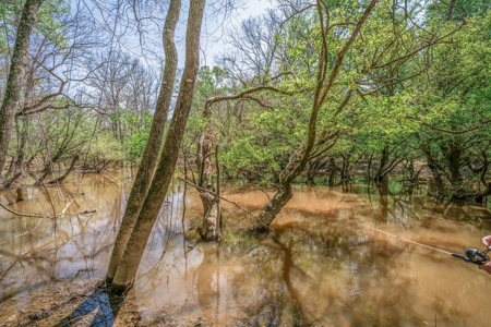 403+ Acre Hunting Paradise in Upshur County, TX - image 10