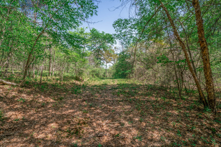 403+ Acre Hunting Paradise in Upshur County, TX - image 12