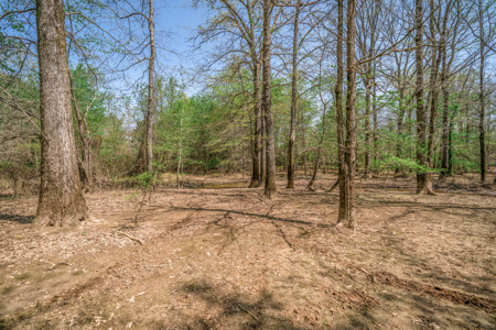 403+ Acre Hunting Paradise in Upshur County, TX - image 5