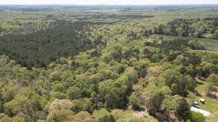 403+ Acre Hunting Paradise in Upshur County, TX - image 27
