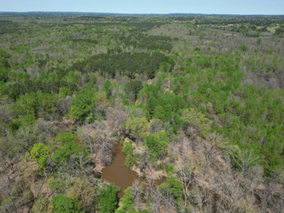 403+ Acre Hunting Paradise in Upshur County, TX - image 16