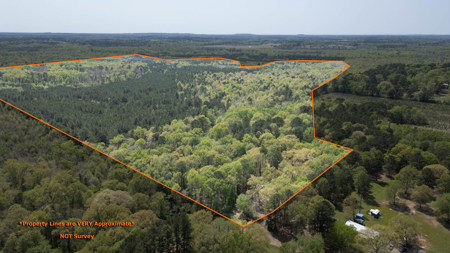 403+ Acre Hunting Paradise in Upshur County, TX - image 25