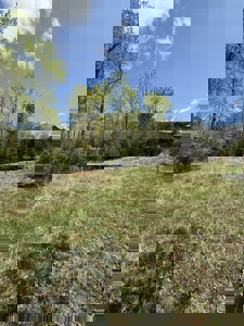 Lakefront Lot for sale in East Tennessee - image 12