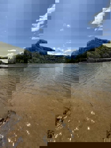 Lakefront Lot for sale in East Tennessee - image 9