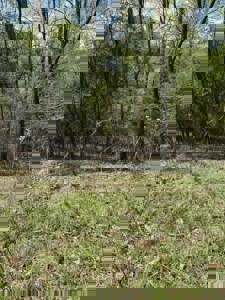 Lakefront Lot for sale in East Tennessee - image 17