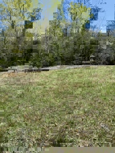 Lakefront Lot for sale in East Tennessee - image 13