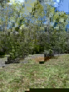 Lakefront Lot for sale in East Tennessee - image 7