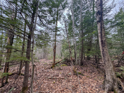 12 Acres with Potential in Monroe, Maine - image 5