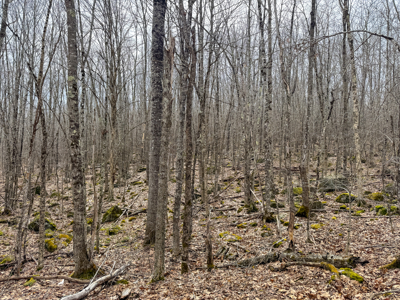 12 Acres with Potential in Monroe, Maine - image 18