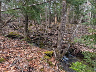 12 Acres with Potential in Monroe, Maine - image 11