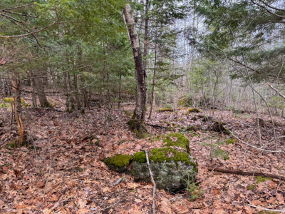 12 Acres with Potential in Monroe, Maine - image 7