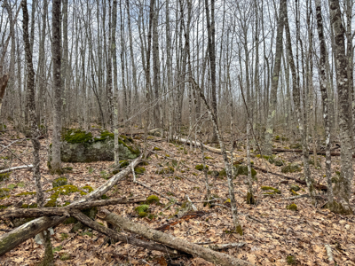 12 Acres with Potential in Monroe, Maine - image 21