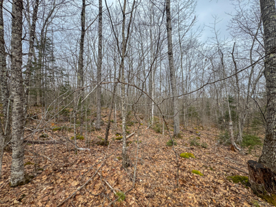12 Acres with Potential in Monroe, Maine - image 6