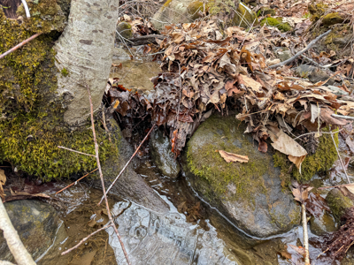 12 Acres with Potential in Monroe, Maine - image 3