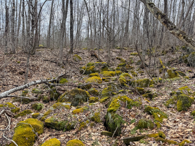 12 Acres with Potential in Monroe, Maine - image 20