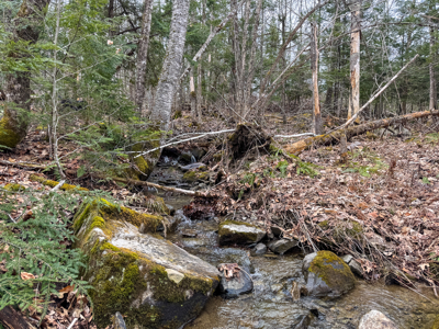 12 Acres with Potential in Monroe, Maine - image 15