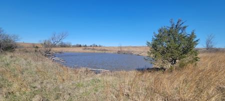 Prime Hunting & Recreational Property with Income - image 13