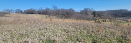 Prime Hunting & Recreational Property with Income - image 3