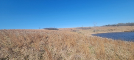 Prime Hunting & Recreational Property with Income - image 4