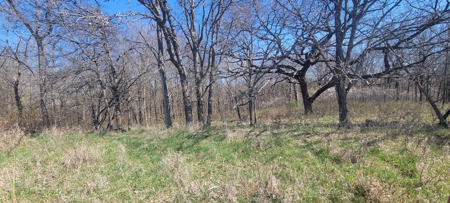 Prime Hunting & Recreational Property with Income - image 14