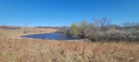 Prime Hunting & Recreational Property with Income - image 8