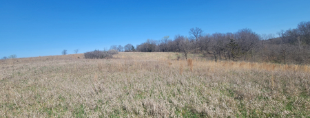 Prime Hunting & Recreational Property with Income - image 6