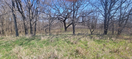 Prime Hunting & Recreational Property with Income - image 12