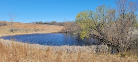 Prime Hunting & Recreational Property with Income - image 5