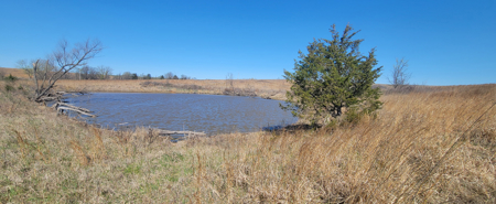 Prime Hunting & Recreational Property with Income - image 2