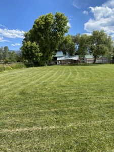 Country Home For Sale in Colorado with Irrigated Acreage - image 23