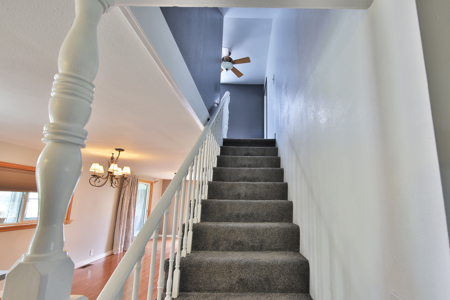 Country Home For Sale in Colorado with Irrigated Acreage - image 33