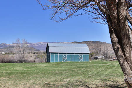 Country Home For Sale in Colorado with Irrigated Acreage - image 8