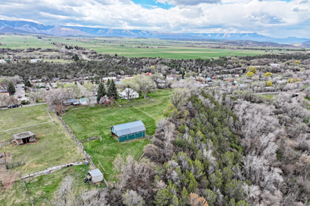 Country Home For Sale in Colorado with Irrigated Acreage - image 40